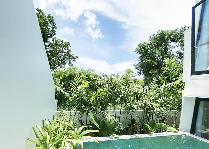 Mula * Canggu
